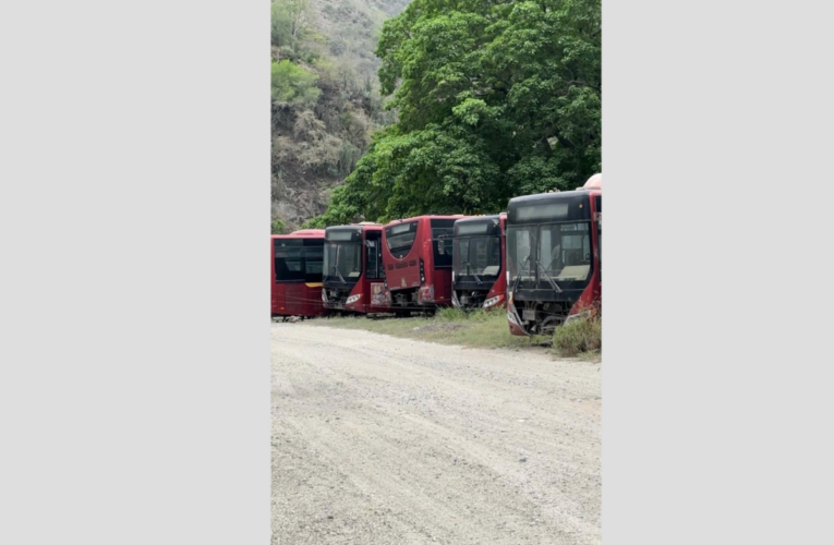 ¡Estos buses chinos deben recuperarse!