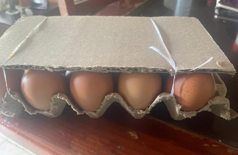 Los huevos aumentan todas las semanas