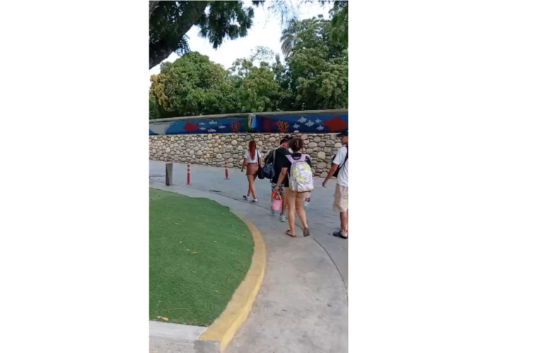Bañistas llegan a las playas de Macuto