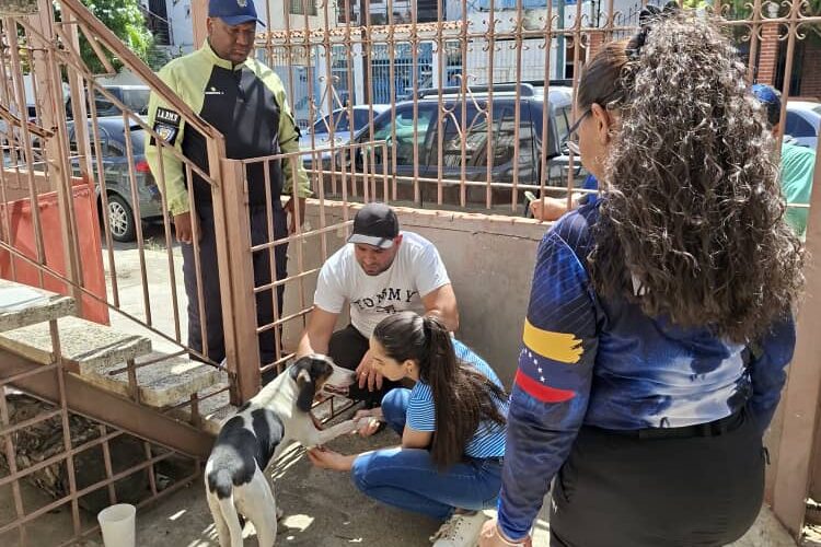 Rescatan en tiempo récord a perro encerrado en casa abandonada
