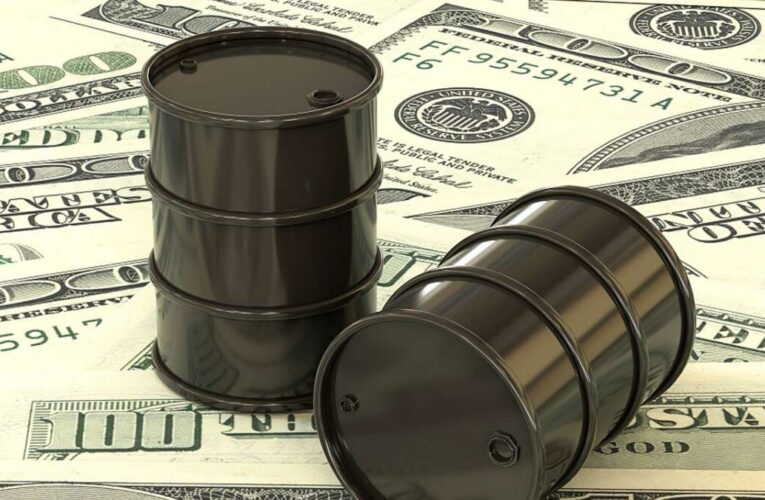 Los petrodólares deberían usarse para detener la incesante devaluación