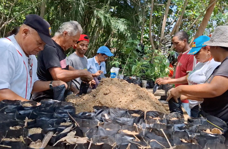 La Guaira sembrará 200.000 árboles para restaurar sus zonas verdes