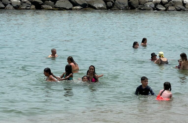 ¡Ven a disfrutar nuestras playas!