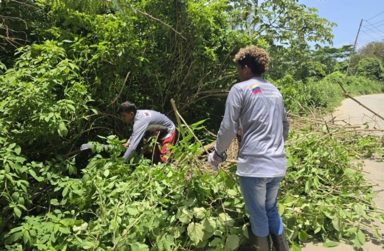 Vemezuela Renace desmaleza vía hacia La Costa