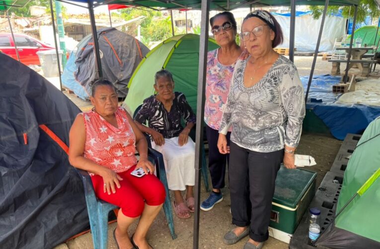 Incluir proteína en la bolsa ruegan adultos refugiados