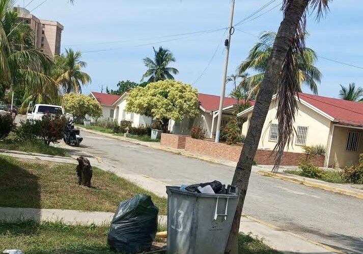 Desalojo arbitrario amenaza a 49 familias de San Francisco II