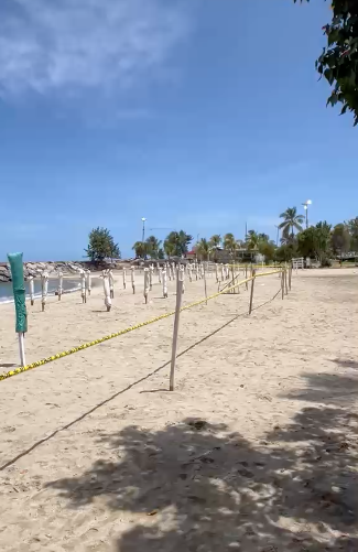 La prohibición trae esta desolación