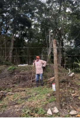 Piden a Ecosocialismo frenar ecocidio en Tibroncito